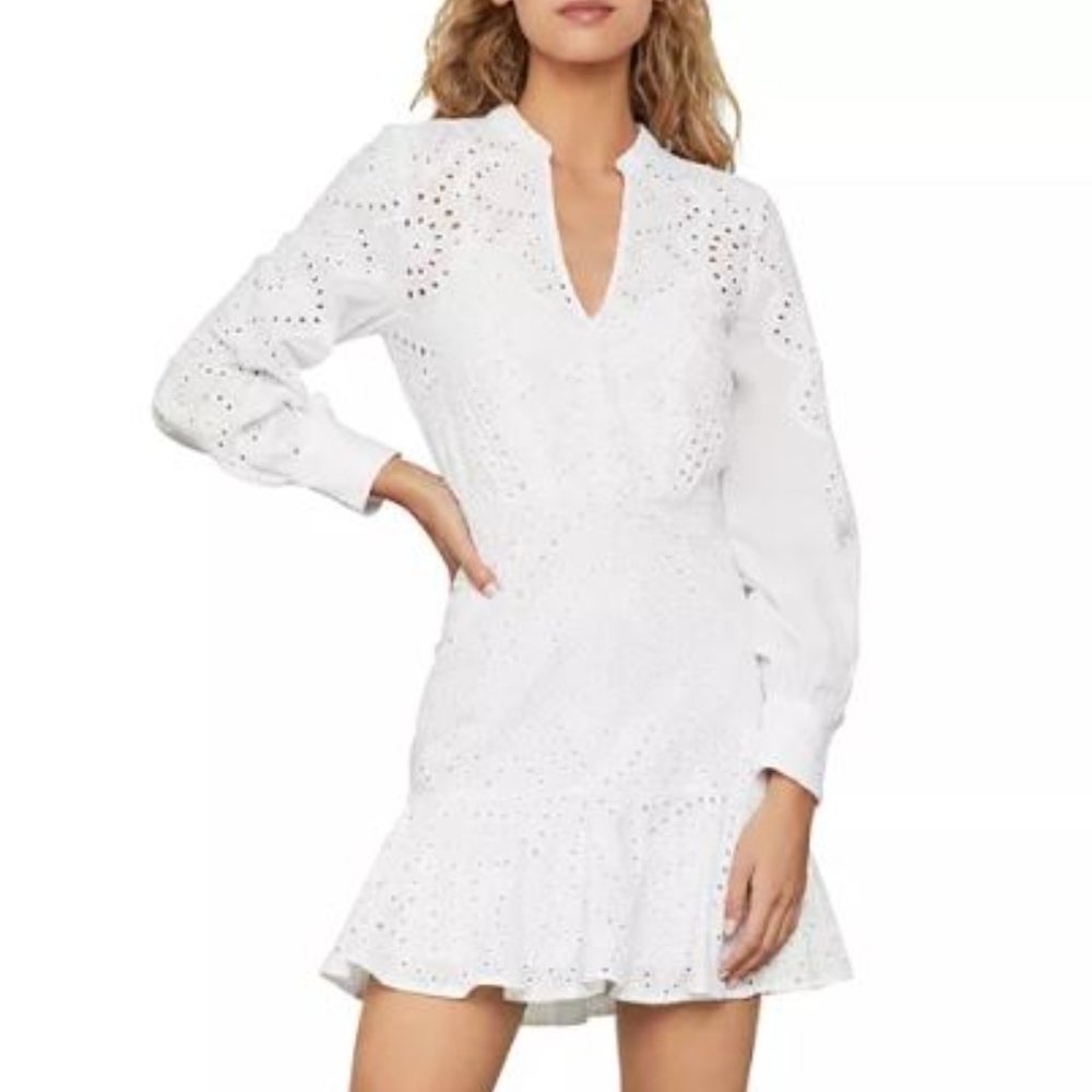 BCBGMAXAZRIA Eyelet Flounce Dress